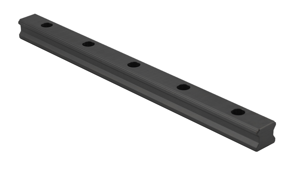 Standard Rail SBI raydent